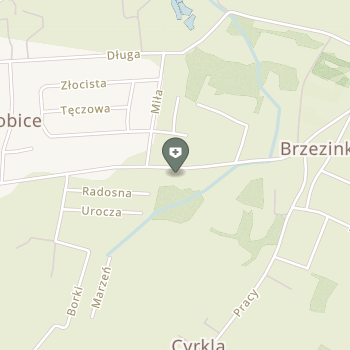 Dental Clinic Nmd na mapie