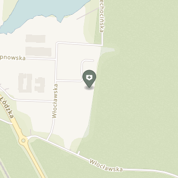 NZOZ Zakład Opieki Paliatywno-Hospicyjnej dla dzieci "Nadzieja" w Toruniu na mapie