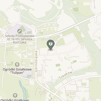 Przychodnia Stomatologiczna Witold Warzyszyński na mapie