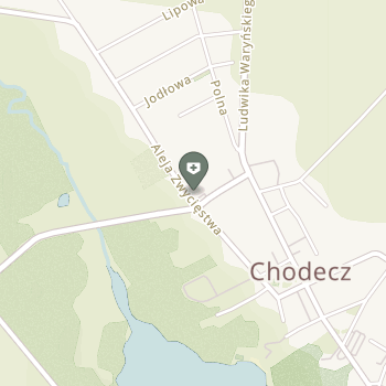 NZOZ Almedic Yehya Al-Hosam na mapie