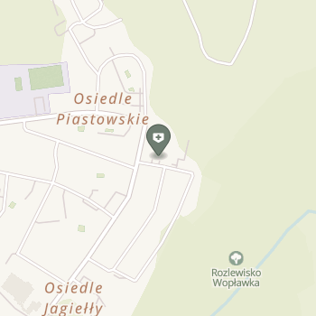 Niepubliczny Zakład Opieki Domowej Dan-Med Danuta Truszczyńska na mapie