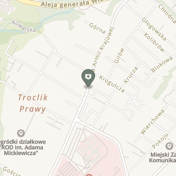 Szpital Chirurgii Małoinwazyjnej i Rekonstrukcyjnej na mapie