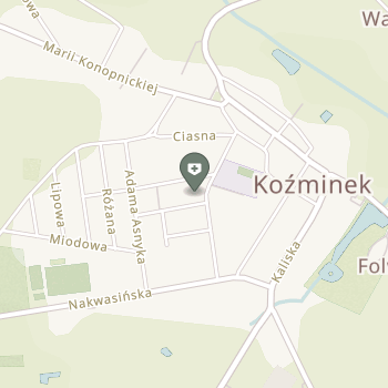 SPZOZ w Koźminku na mapie