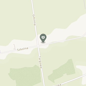 NZOZ Denteam na mapie