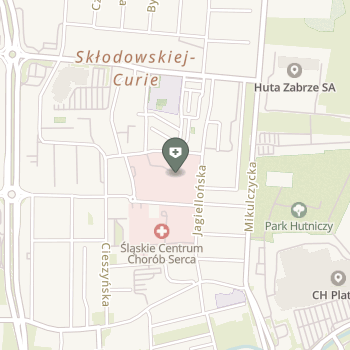 Szpital Specjalistyczny w Zabrzu na mapie