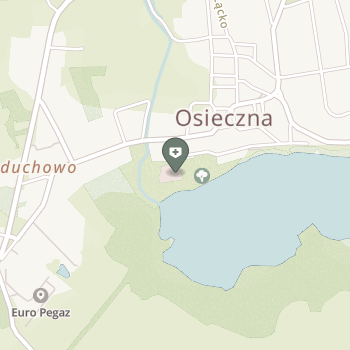 Centrum Rehabilitacji im. prof. Mieczysława Walczaka w Osiecznej na mapie