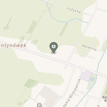 NZOZ Centrum Rehabilitacji i Sportu Fizjo Corps Łukasz Paliświat na mapie