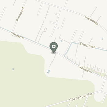 Daria Rybarczyk na mapie