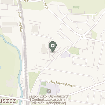 Dom Hospicyjny w Pruszczu Gdańskim na mapie
