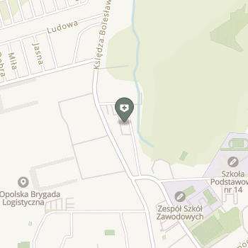 Twoja Przychodnia Opolskie Centrum Medyczne na mapie