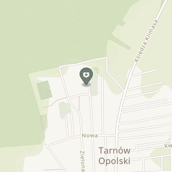 Fizjoterapia na mapie