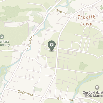 Vip Dental Clinic Poradnia Stomatologiczna na mapie