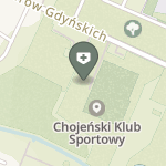 NZOZ Chojeńskie Centrum Ortopedyczno-Rehabilitacyjne Primus Medicus na mapie