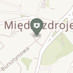 Zbigniew Mittelstädt Fizjoterapia na mapie