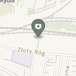 Synapsa Fizjoterapia na mapie