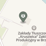 Niepubliczny Zakład Usług Położnictwa w Brzegu na mapie