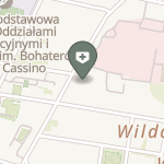 Wildeckie Centrum Medyczne Plus na mapie