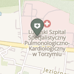 Lubuski Szpital Specjalistyczny Pulmonologiczno-Kardiologiczny w Torzymiu na mapie