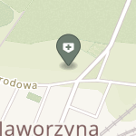 Samorządowa Przychodnia Zdrowia na mapie
