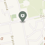 Hospicjum św. Ojca Pio w Pszczynie na mapie