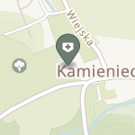 Ośrodek Leczniczo-Rehabilitacyjny "Pałac Kamieniec" na mapie