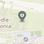 Gemini - Med na mapie