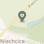 NZOZ w Niechcicach na mapie