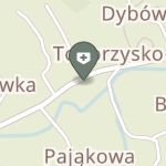 NZOZ Sanus w Toporzysku na mapie