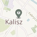 NSZOZ "Specjaliści-Rogatka" w Kaliszu na mapie