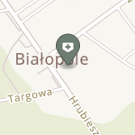 NZOZ Ośrodek Zdrowia w Białopolu na mapie