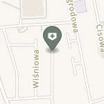 Przychodnia Rehabilitacyjna Fizjonova na mapie