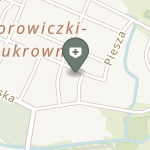 Centrum Medyczne Borowiczki na mapie