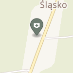 Niepubliczny Zakład Opieki Domowej Reg-Med na mapie