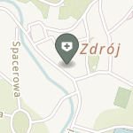 NZOZ "Vita" w Lądku Zdroju na mapie